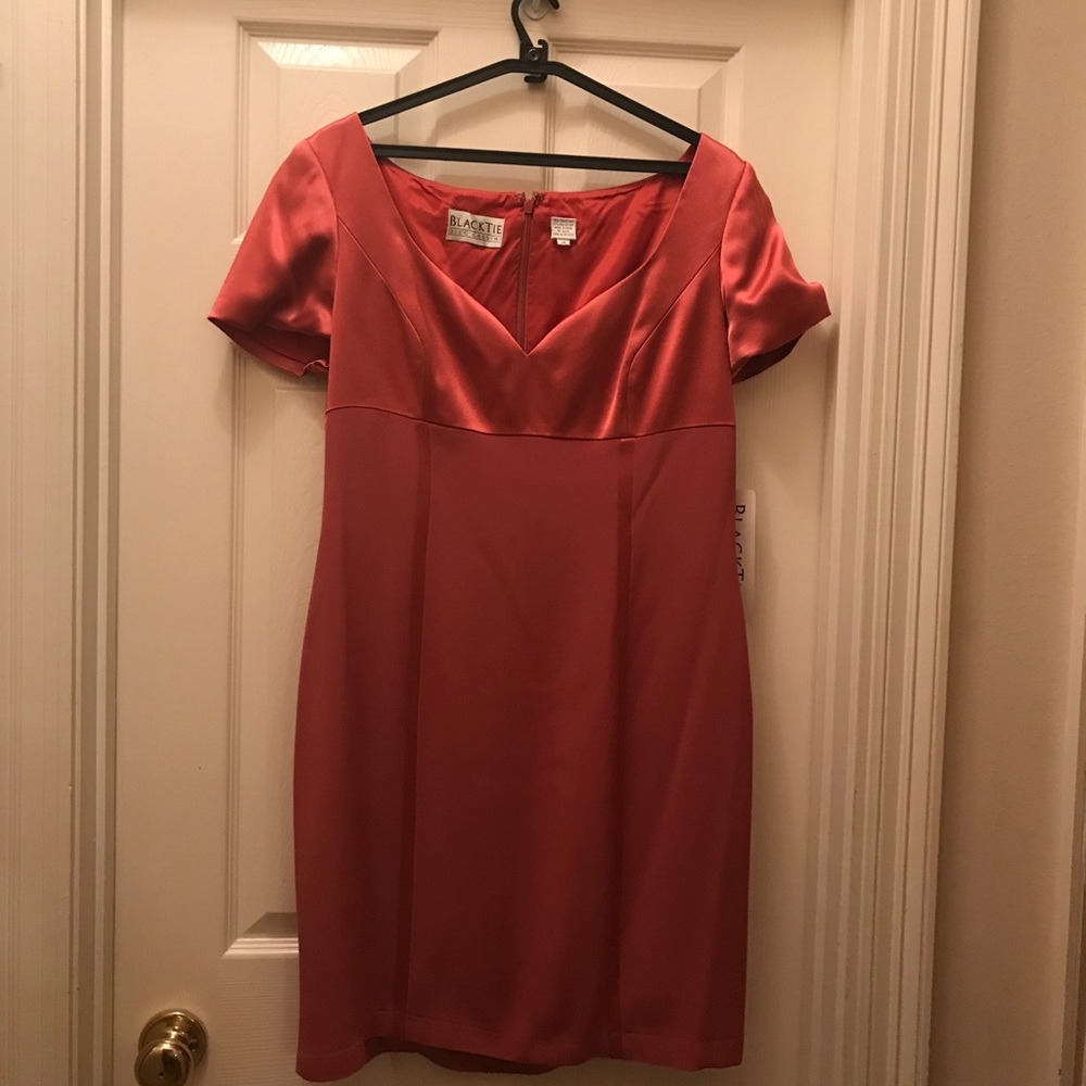 NWT BLACK TIE by Oleg Cassini MAUVE DRESS